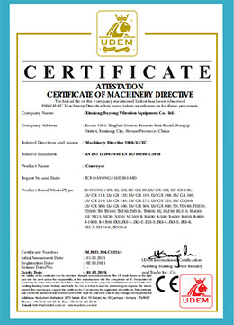 CE Certificate for Conveyor
