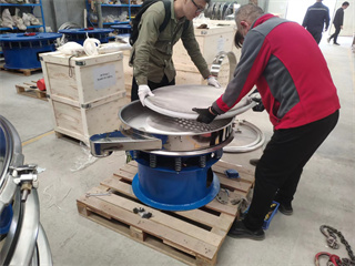 Vibratory Sieve with elevator